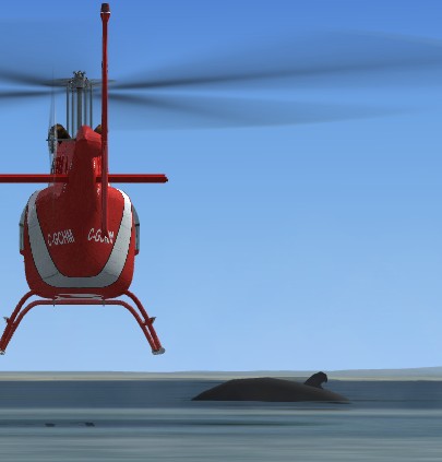 baleine.jpg