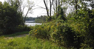 Pistes cyclables intégrales