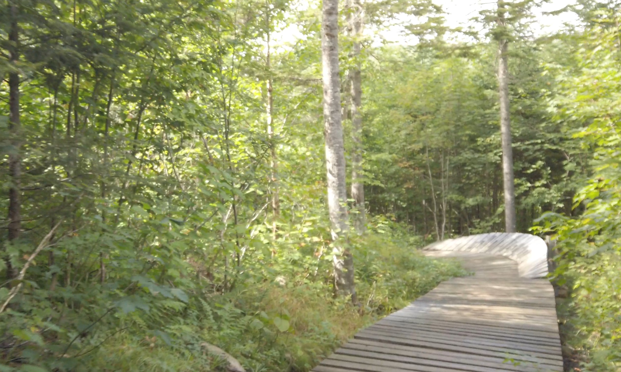 La Gros-buck, retour